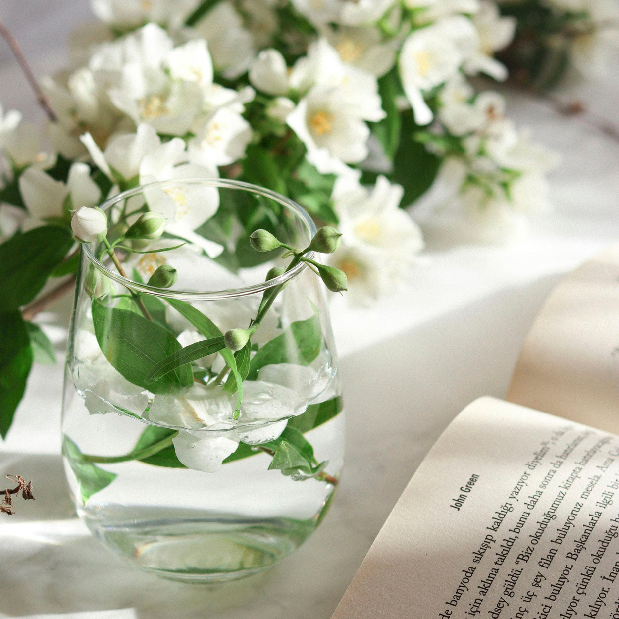 Salud Mental y Bienestar