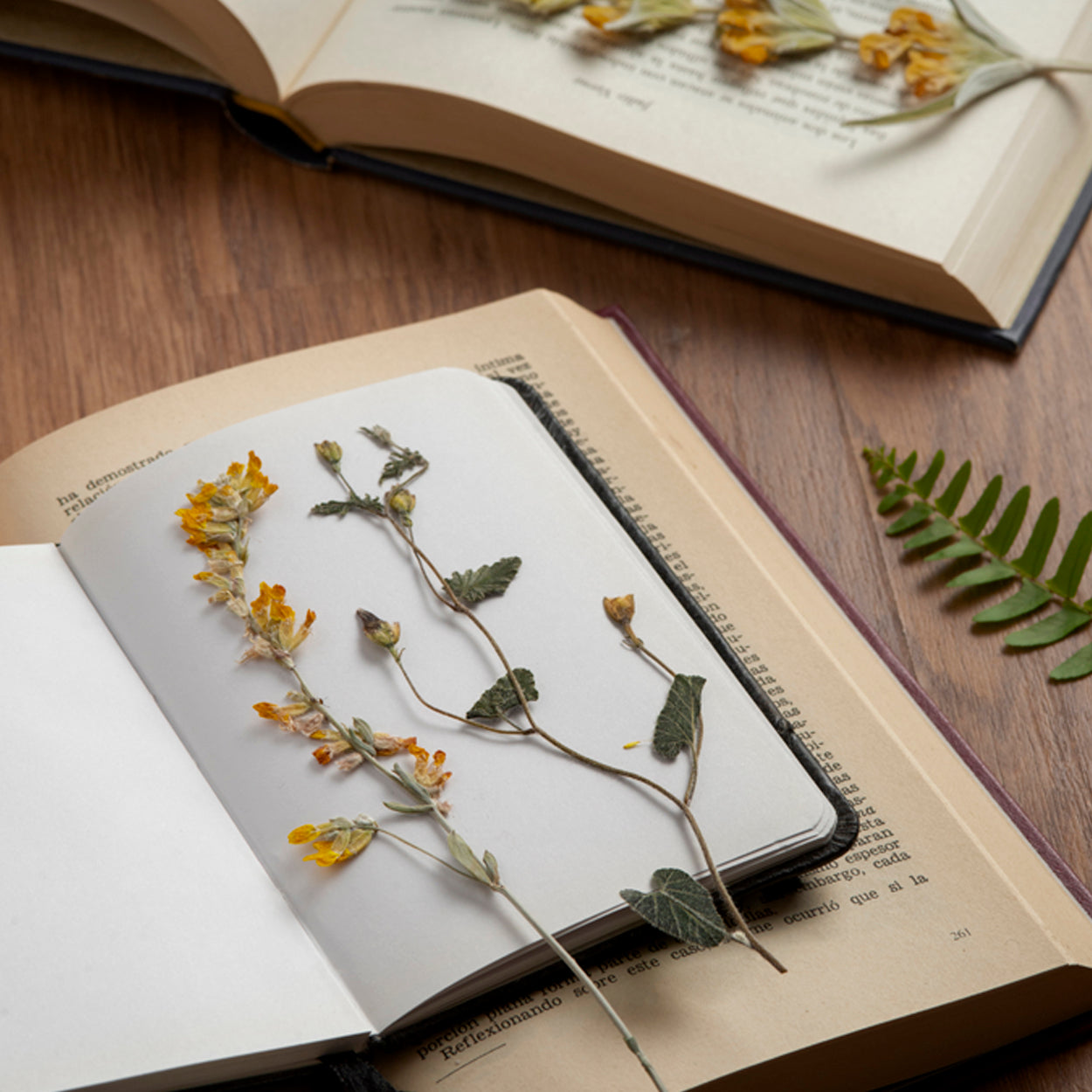 Crecimiento Personal