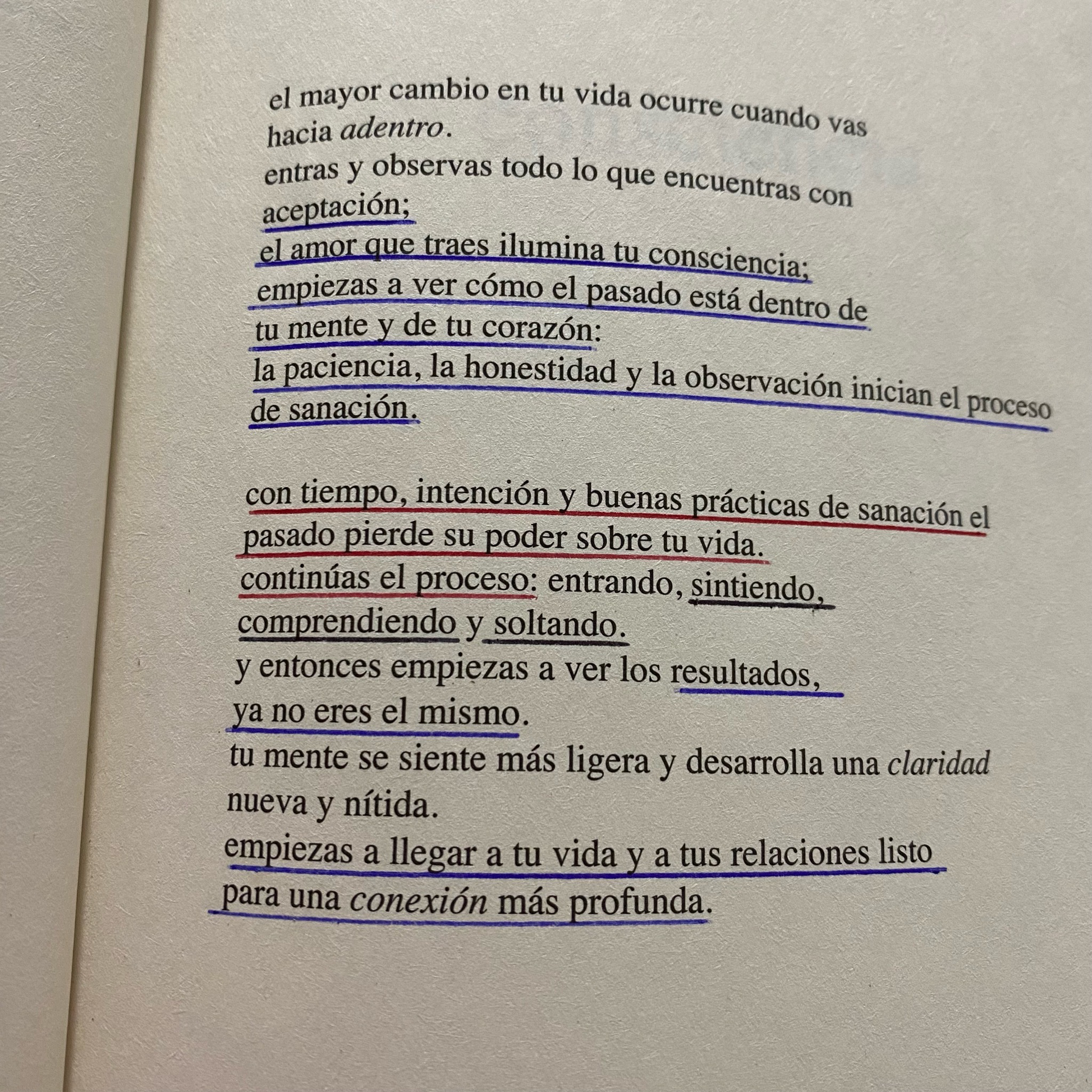 Claridad y conexión | Yung Pueblo