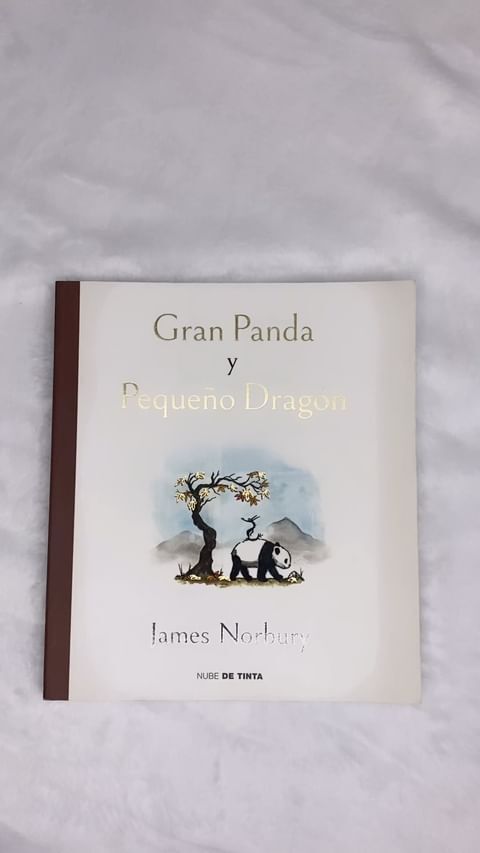 Gran panda y pequeño dragon