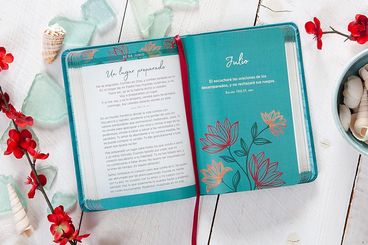 365 dias de oracion para la depresion y la ansiedad | Devocional