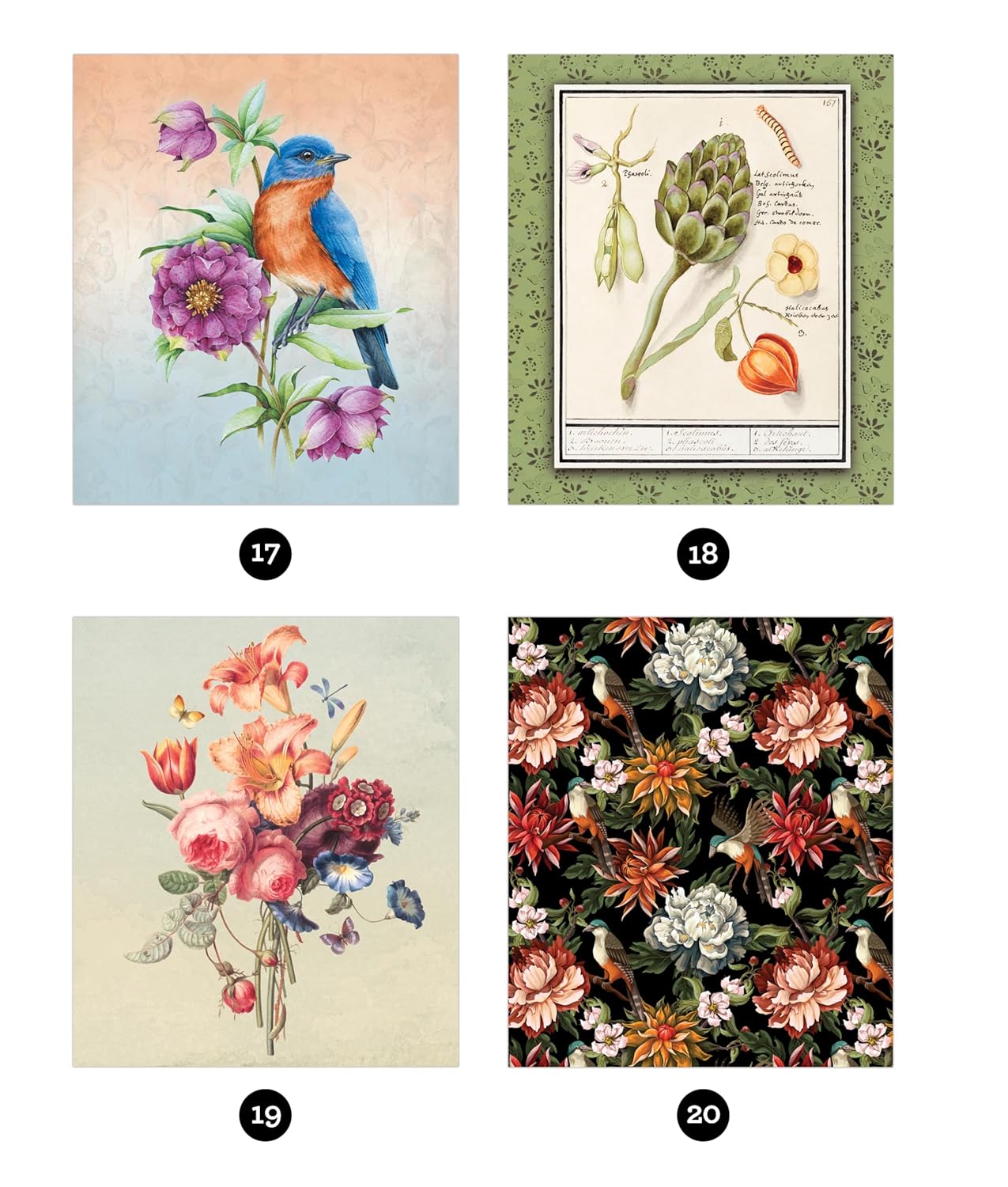 Brain Games - Sticker by Number - Vintage: Garden