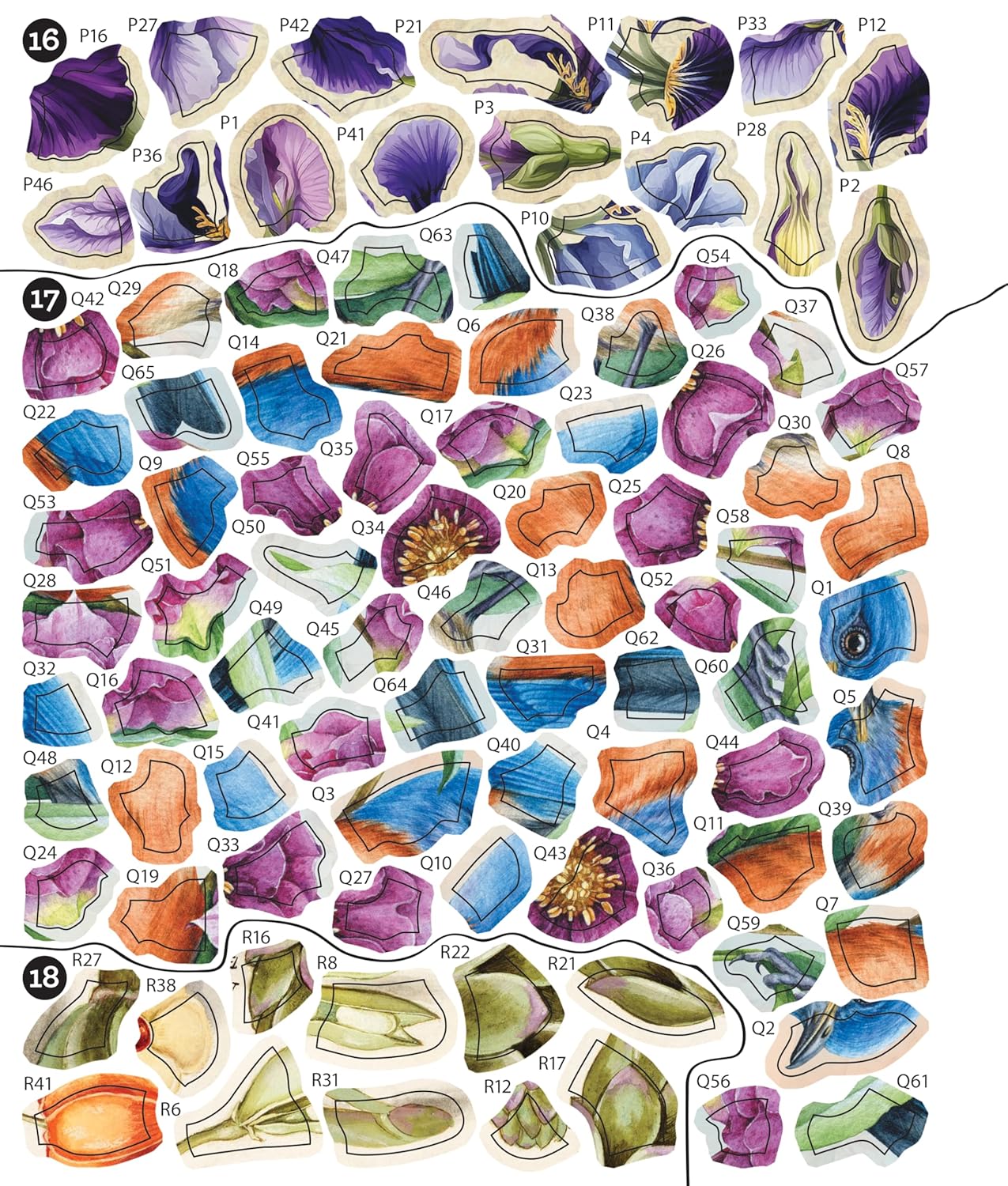 Brain Games - Sticker by Number - Vintage: Garden