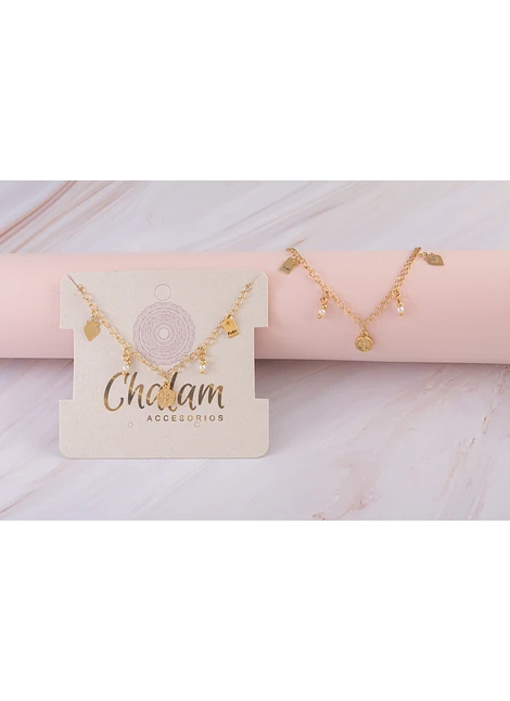 Collar de proteccion | Accesorio