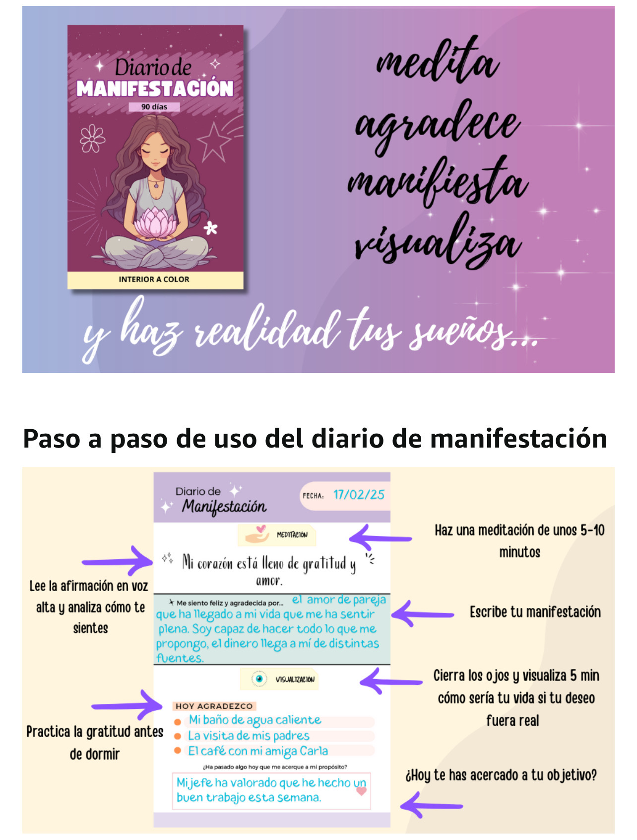 Diario de manifestacion | 90 dias