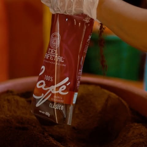 Cafe Del Cafetal / clásico