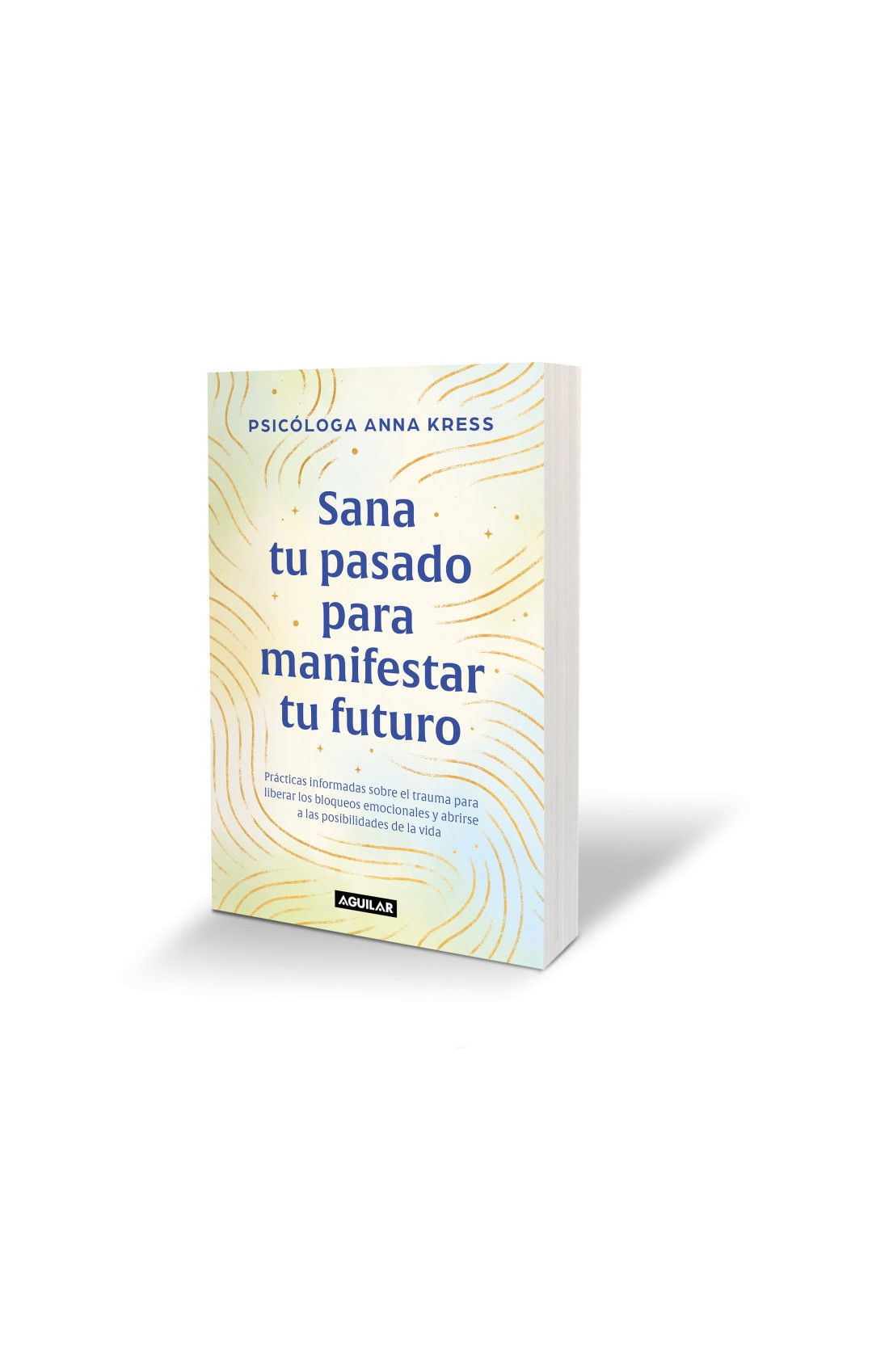 Sana tu pasado para manifestar tu futuro - Anna Kress