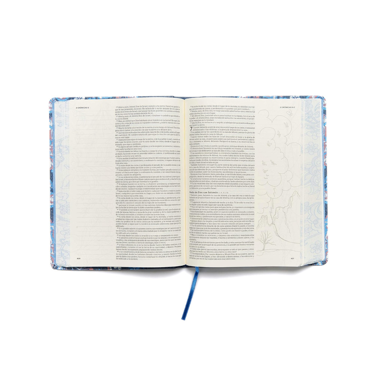 Biblia de apuntes - edición ilustrada Reina Valera 1960