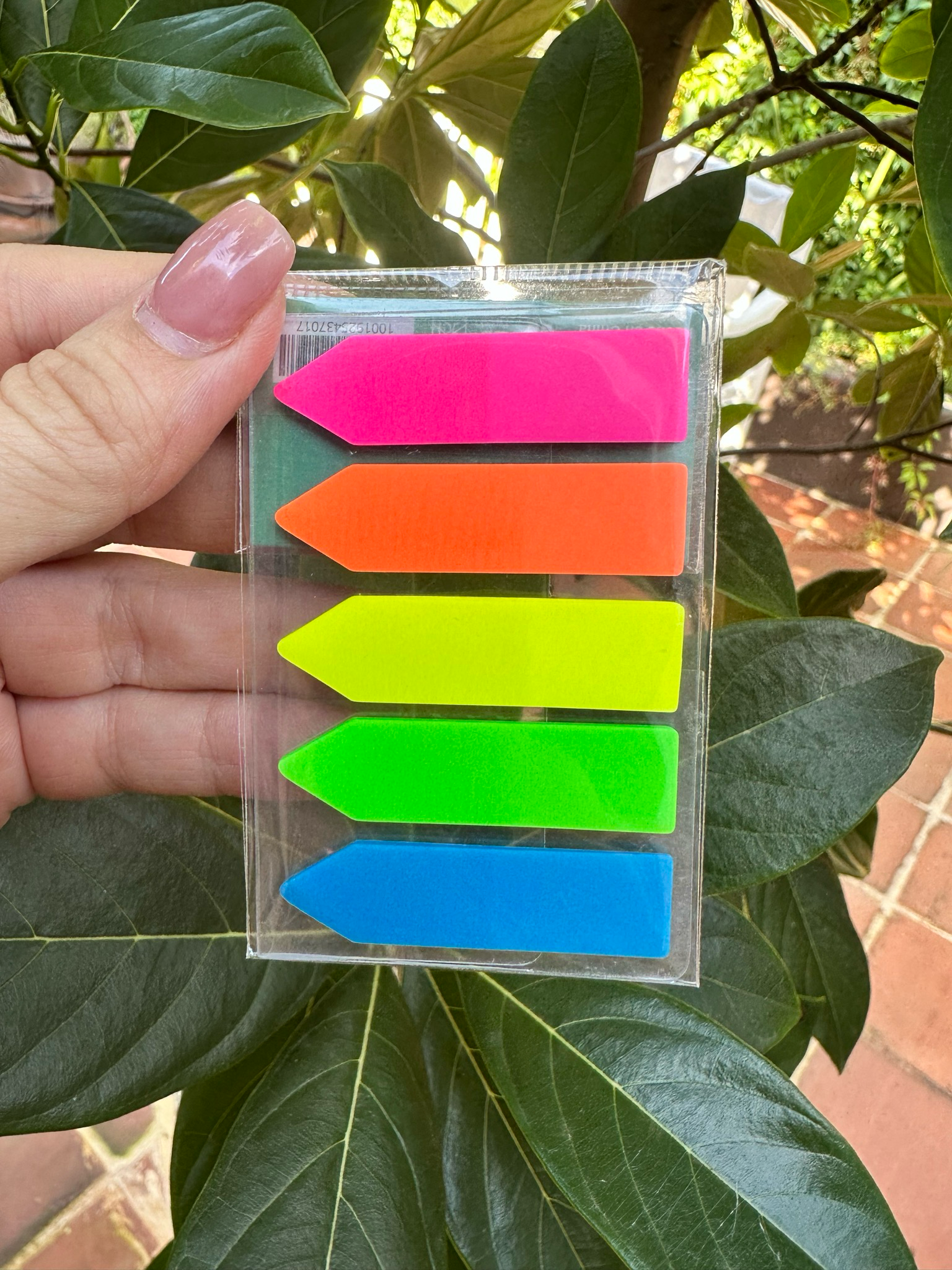 Notas adhesivas transparentes - 5 colores