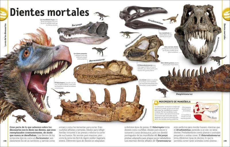 El libro de los dinosaurios | DK