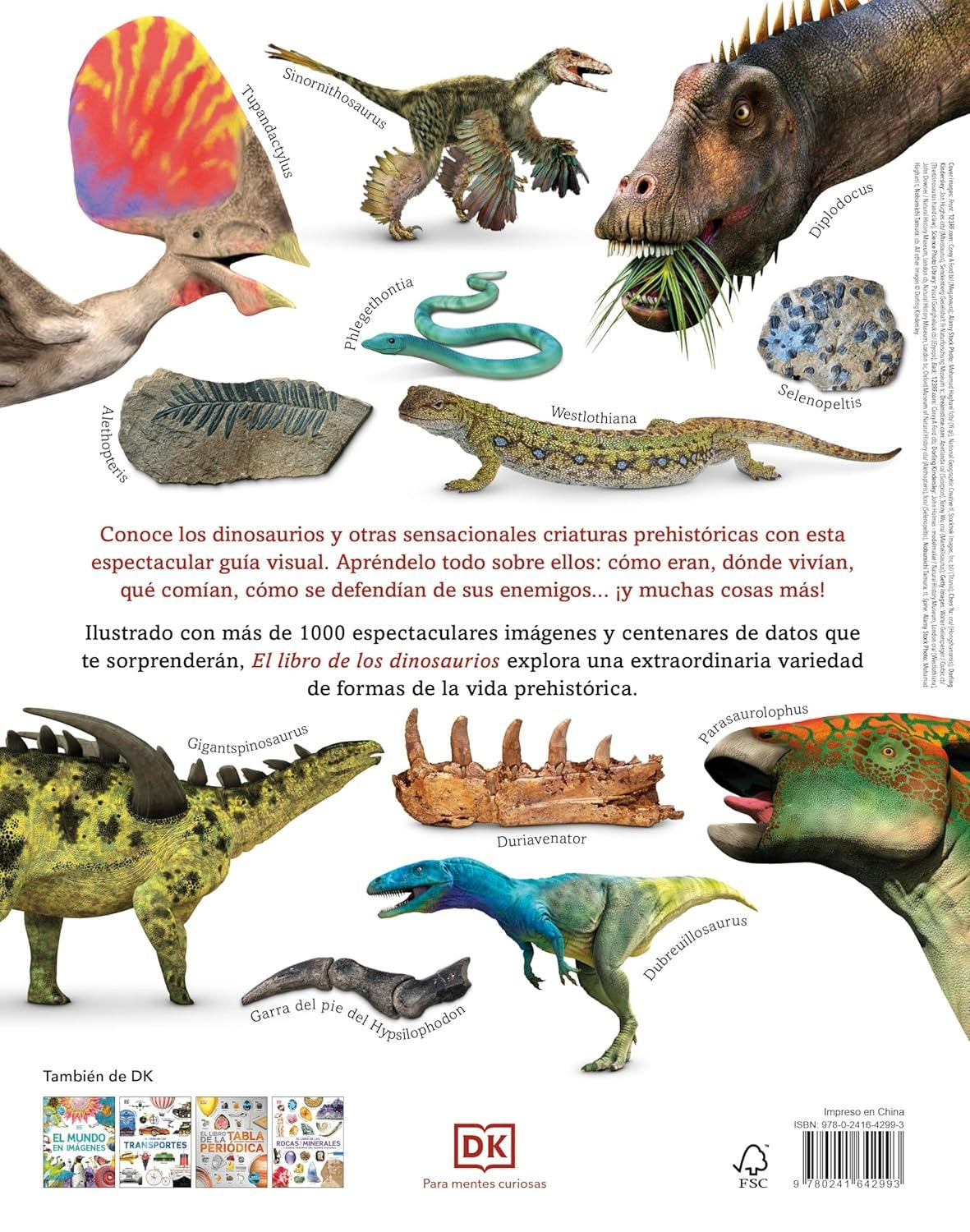 El libro de los dinosaurios | DK