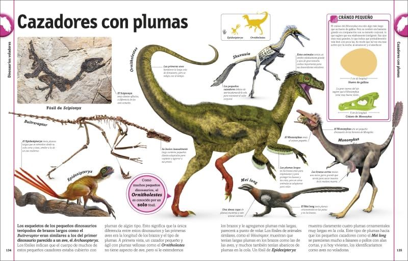 El libro de los dinosaurios | DK