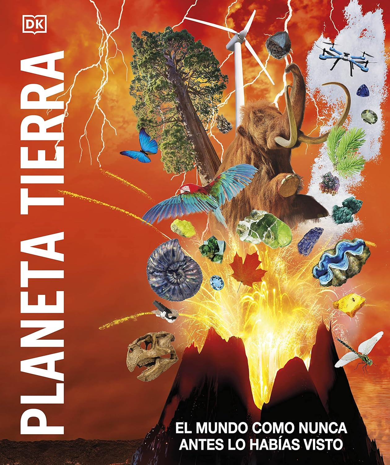 PLANETA TIERRA | DK