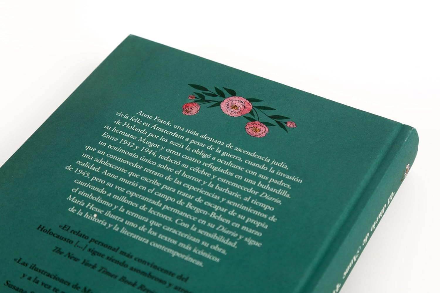 Diario de Anne Frank |Maria Hesse | Edicion Ilustrada