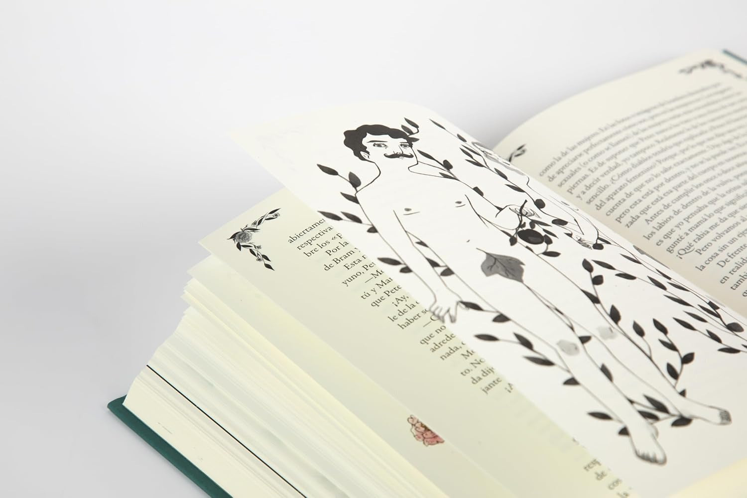 Diario de Anne Frank |Maria Hesse | Edicion Ilustrada
