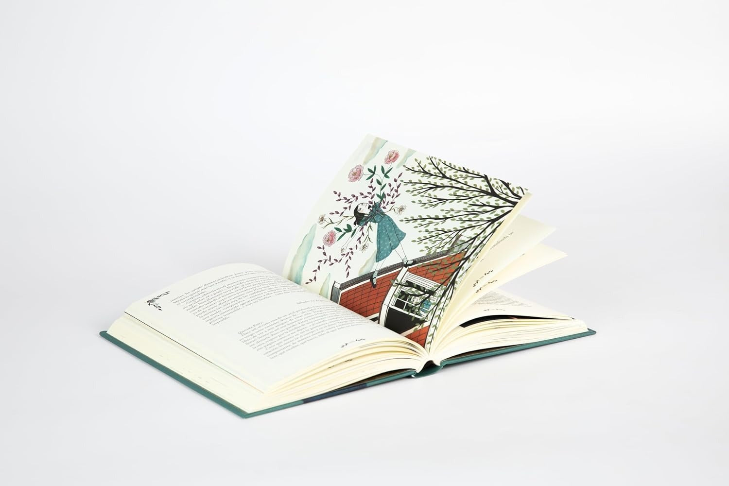 Diario de Anne Frank |Maria Hesse | Edicion Ilustrada