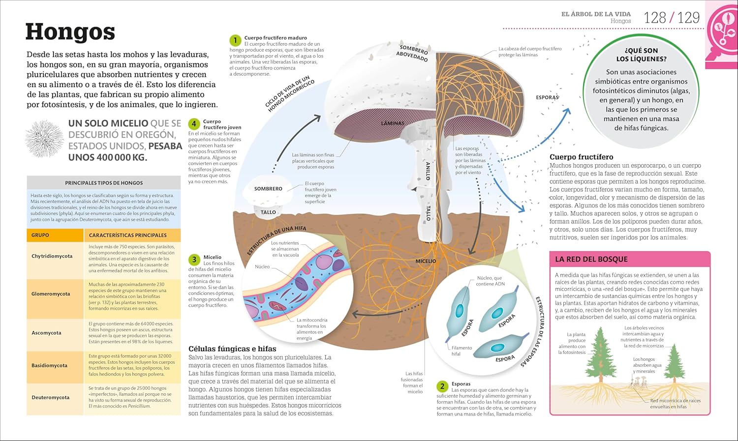 Como Funciona la Biologia | DK