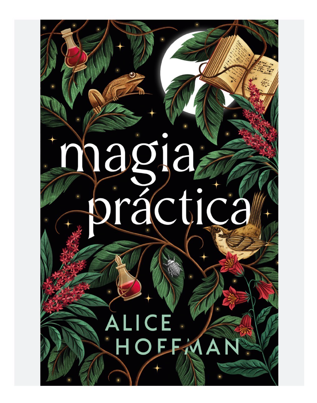 Magia practica | Alice Hoffman