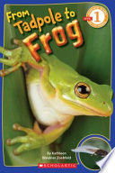 Portada del libro FROM TADPOLE TO FROG - Compralo en ByAnaCeci.com