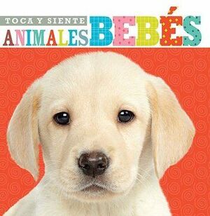 Portada del libro TOCA Y SIENTE ANIMALES BEBES - Compralo en ByAnaCeci.com