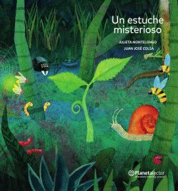 Portada del libro UN ESTUCHE MISTERIOSO - Compralo en ByAnaCeci.com