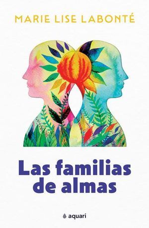 Portada del libro *LAS FAMILIAS DE ALMAS - Compralo en ByAnaCeci.com