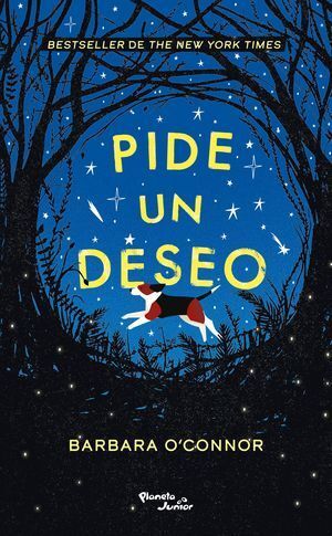 Portada del libro PIDE UN DESEO - Compralo en ByAnaCeci.com