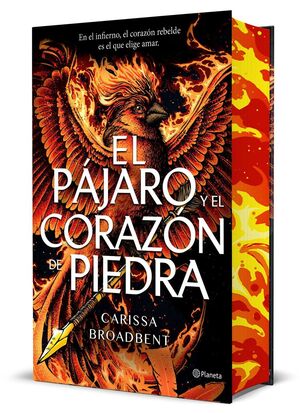 Portada del libro EL PAJARO Y EL CORAZON DE PIEDRA (CANTOS TINTADOS) - Compralo en ByAnaCeci.com