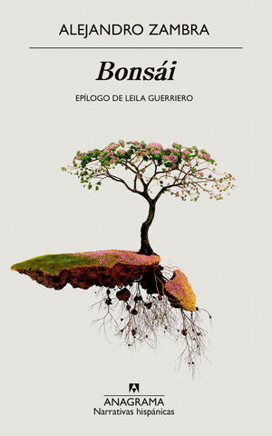 Portada del libro BONSÁI - Compralo en ByAnaCeci.com