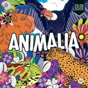 Portada del libro COLOR BLOCK. ANIMALIA - Compralo en ByAnaCeci.com