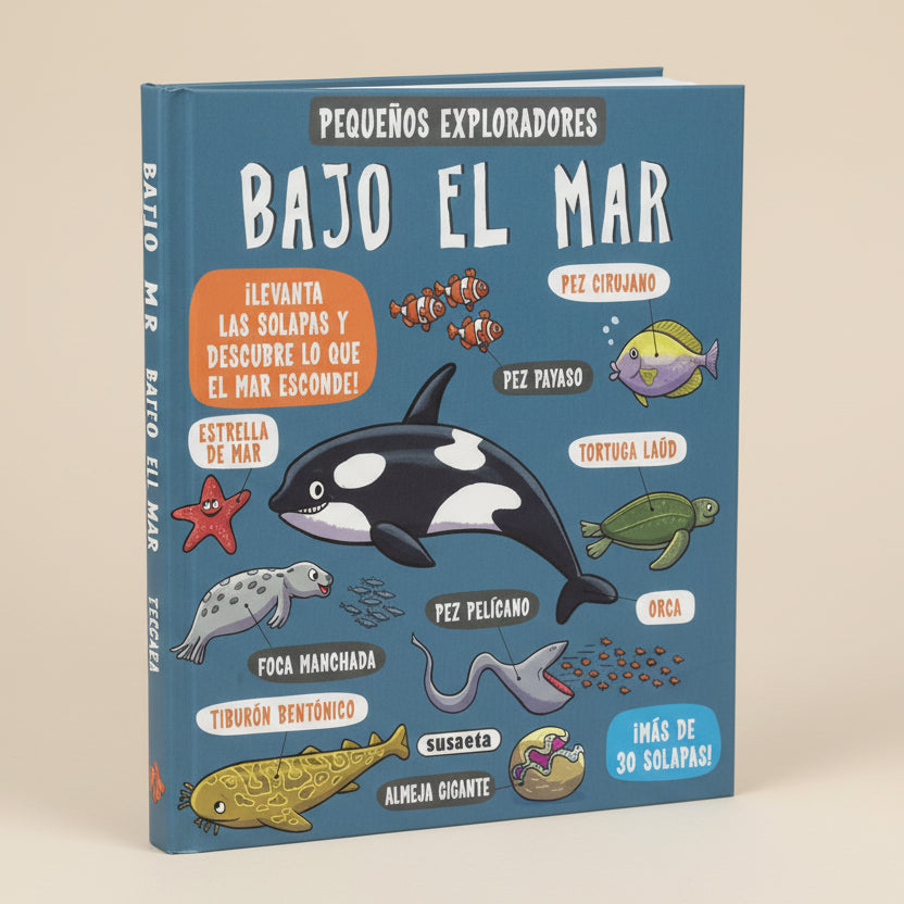 Pequeños Exploradores | Bajo el Mar