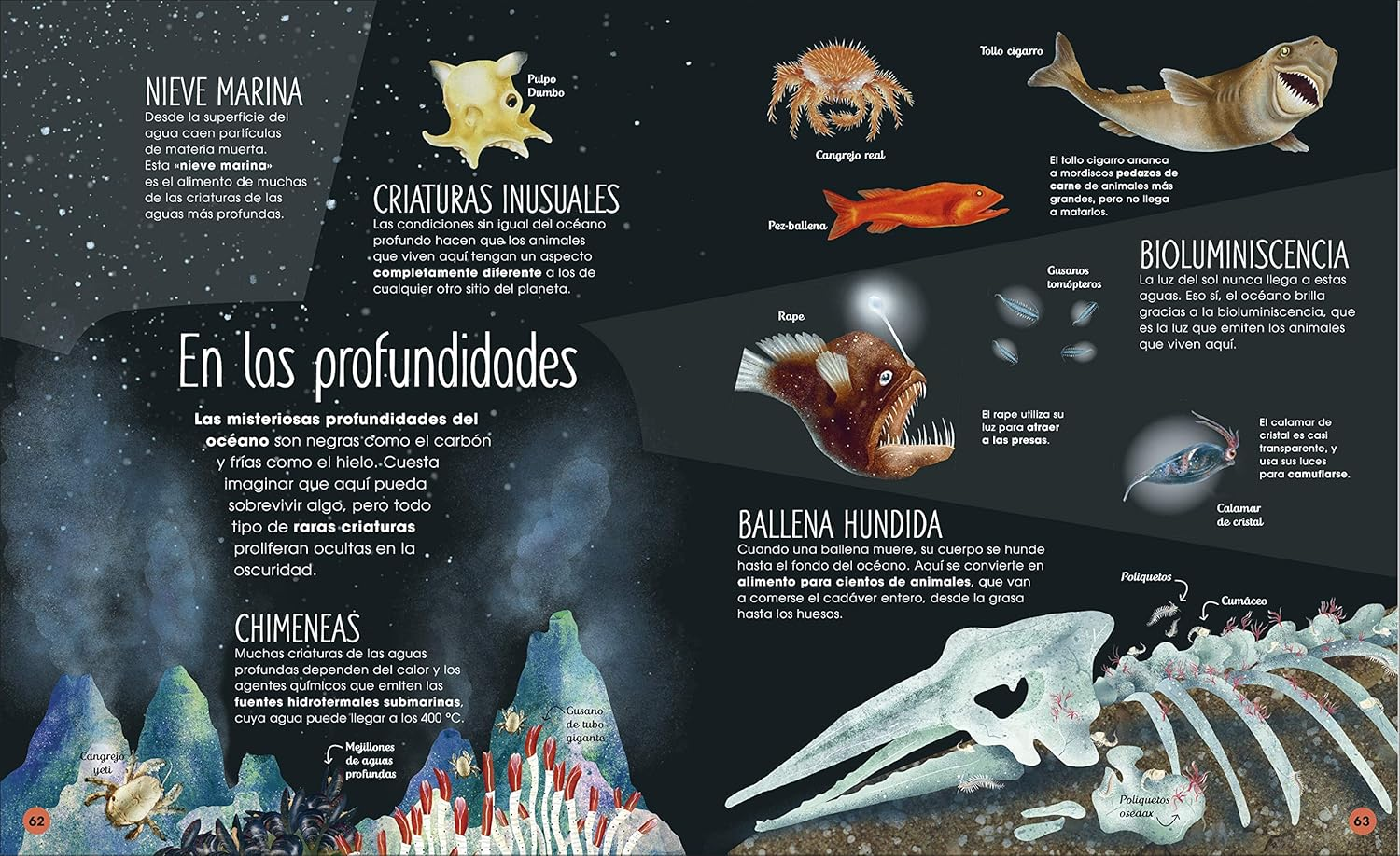 La vida secreta de los océanos | DK