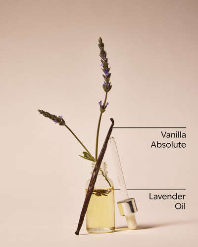 Lavender Vanilla | Gel antibacterial  | Bath and Body Works