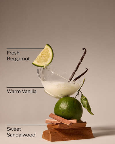 Mahogany Vanilla | Jabon de Manos  | Bath and Body Works