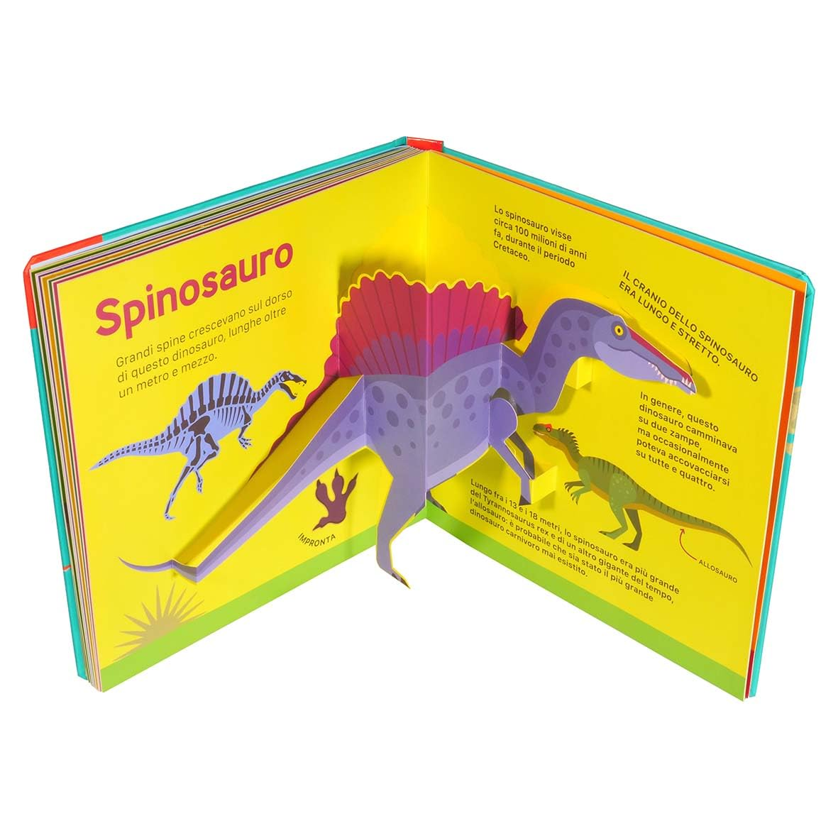 Super Pop Up |Dinosaurios