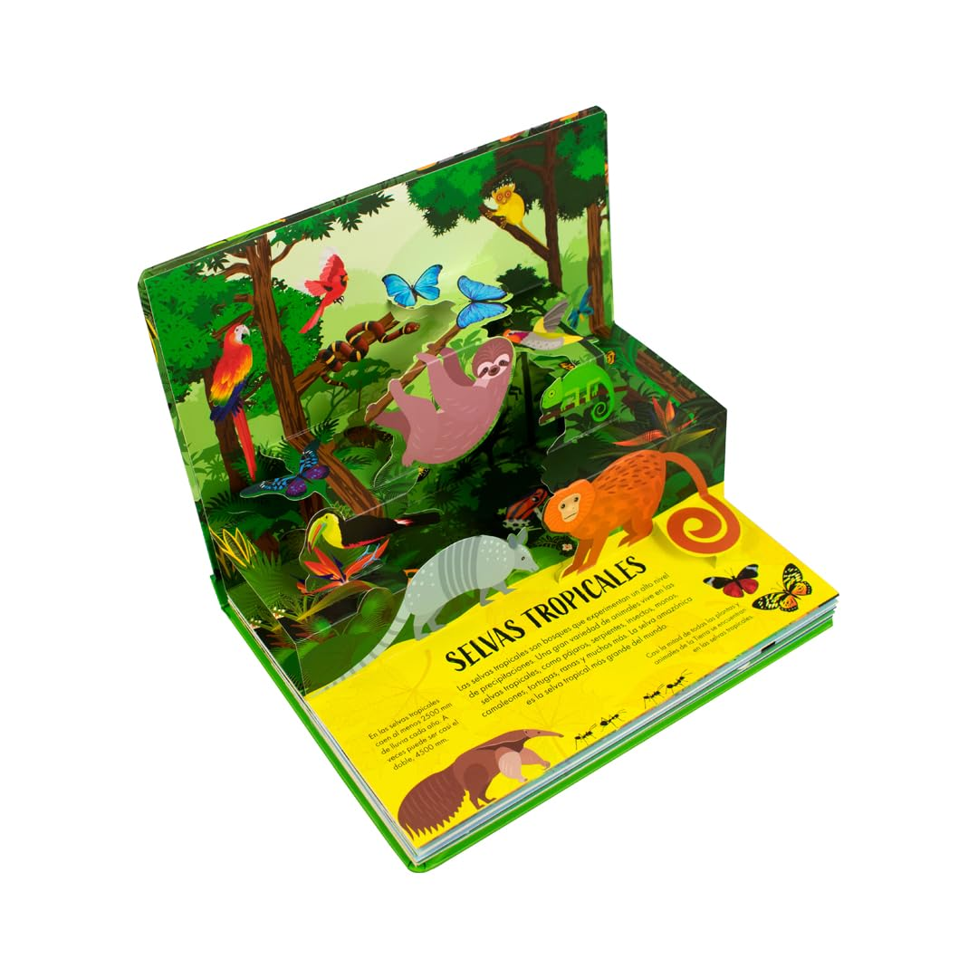 Naturaleza en 3D: Selvas y Bosques