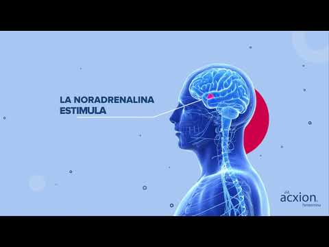 Cargar vídeo: 